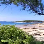 Niza סנטנדר